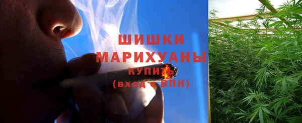 мдпв Новодвинск