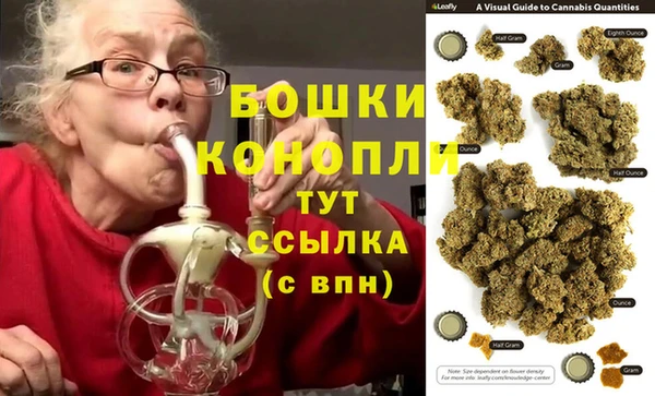 мдпв Новодвинск