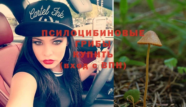 мдпв Новодвинск