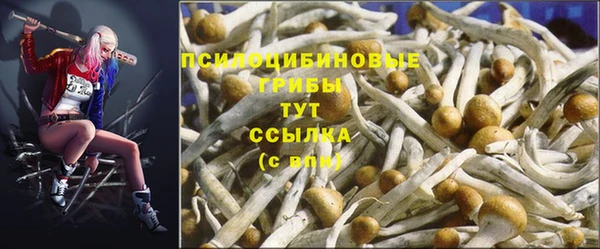 мдпв Новодвинск