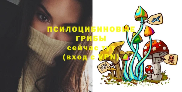 мдпв Новодвинск
