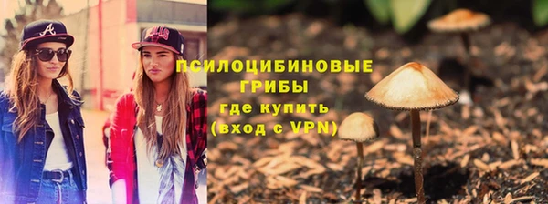 таблы Новокубанск