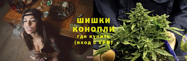 MESCALINE Новозыбков