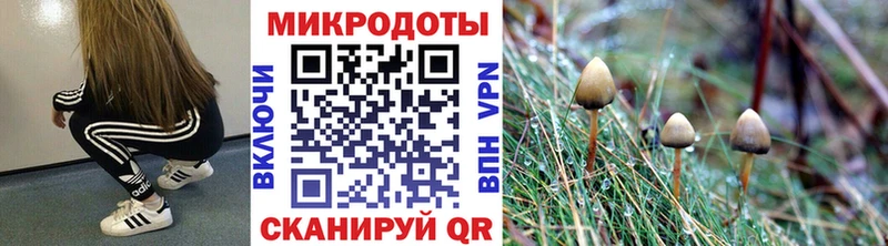 Псилоцибиновые грибы Psilocybine cubensis  цена наркотик  darknet наркотические препараты  Тутаев 